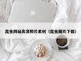 金昌昆虫网站高清照片素材（昆虫图片下载）